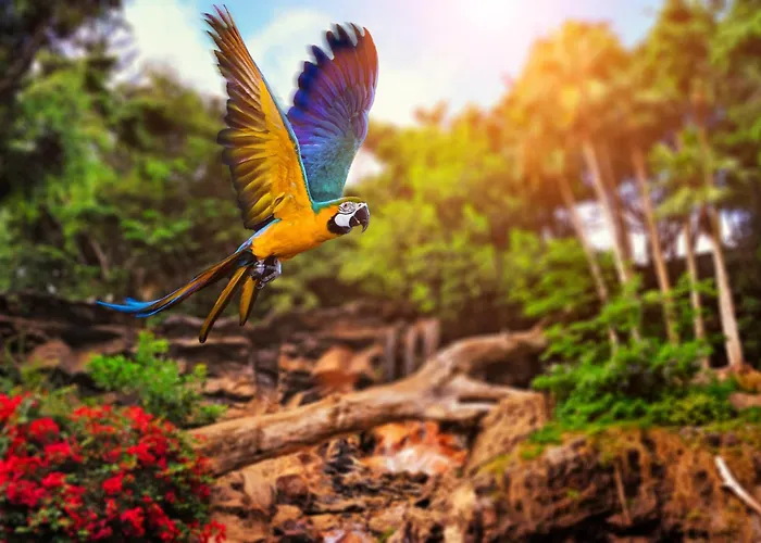 Tropical Executive Hotel